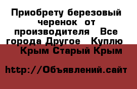 Приобрету березовый черенок  от производителя - Все города Другое » Куплю   . Крым,Старый Крым